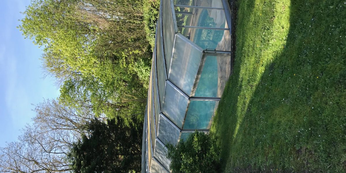 Rénovation piscine moyenne avec design moderne – Hénocque Piscines & Spas © EUROPISCINE